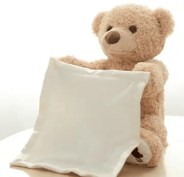 Peek-A-Boo Bear Gift