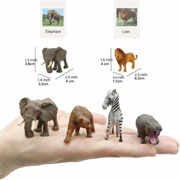 Montessori Animal Matching Card set
